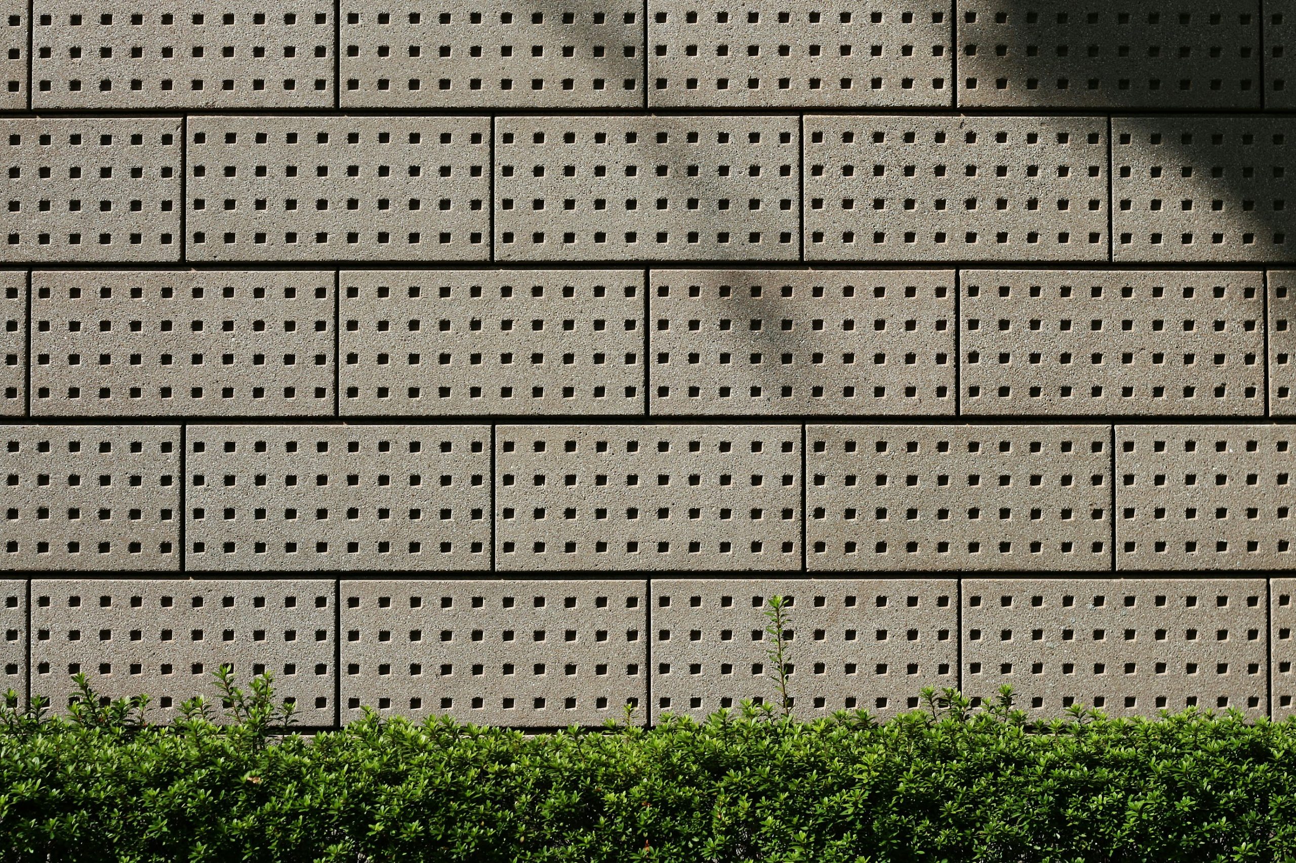 tim-johnson-Vwf8q3RzBRE-unsplash
